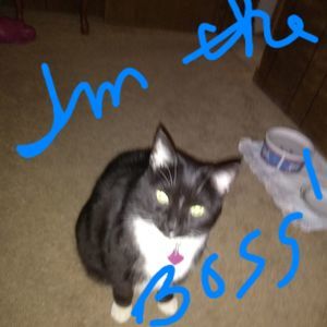 Meet your Posher, Cynthia